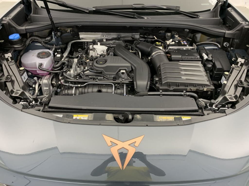 CUPRA Terramar 1.5 eTSI Hybrid 150 ch DSG7 V - ref: 1-336995 - Photo 16