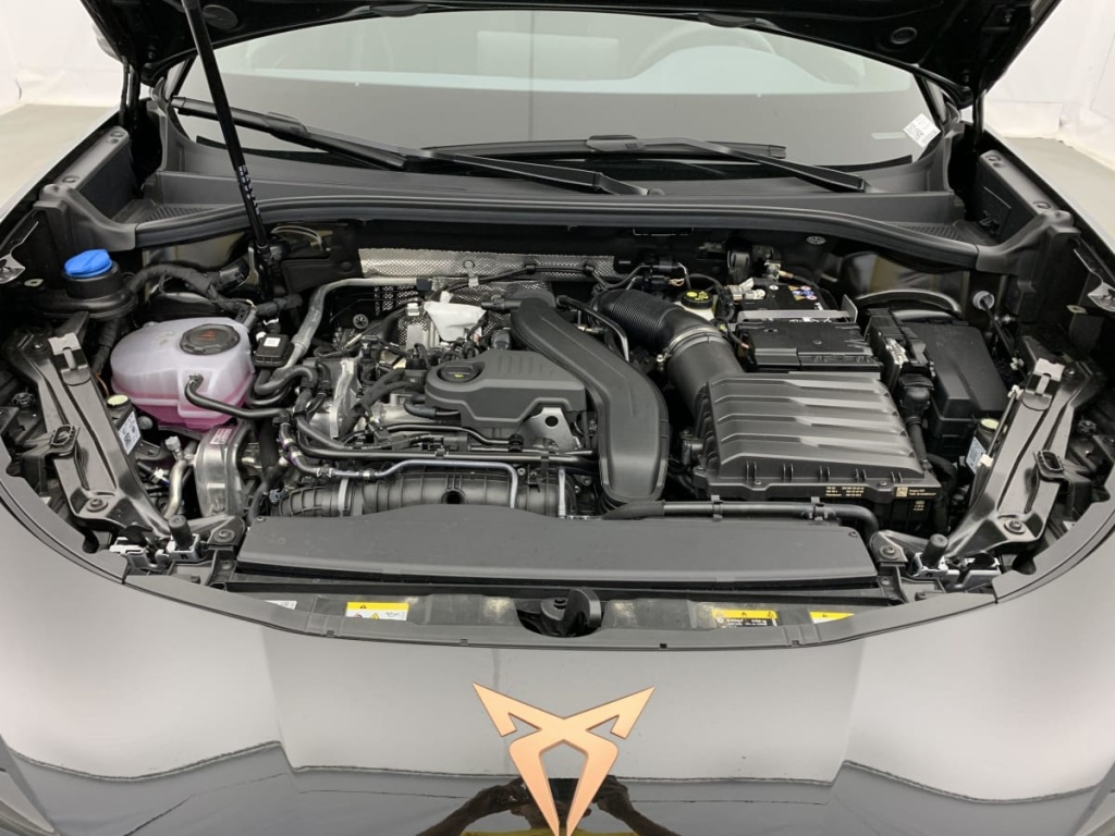 CUPRA Terramar 1.5 eTSI Hybrid 150 ch DSG7 V - ref: 1-345201 - Photo 16