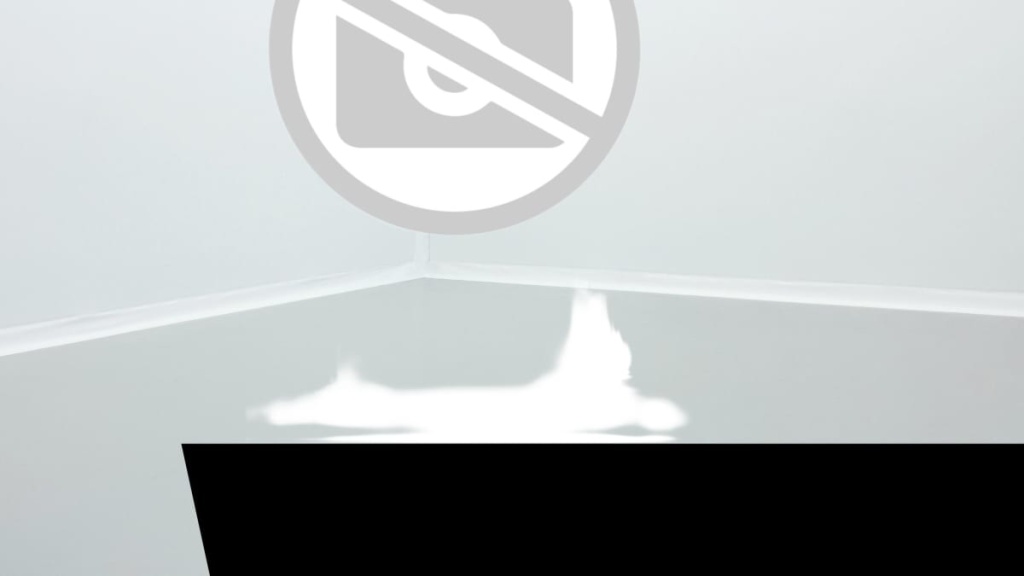 PEUGEOT 208 50 KWH 136CH GT - ref: 1-369363 - Photo 3