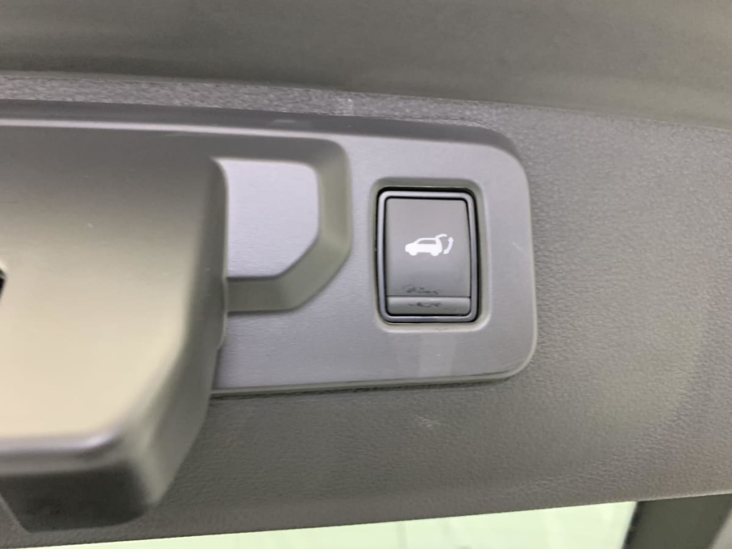 RENAULT Rafale E-Tech full hybrid 200ch esprit Alpine - ref: 1-379672 - Photo 13