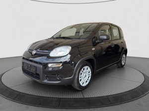 FIAT Panda en vente à marchand - ref: 7-41955