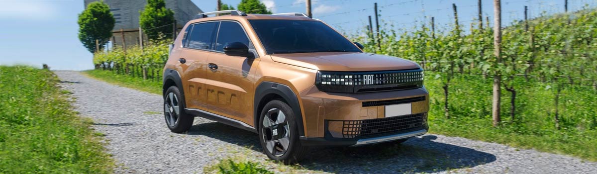 Fiat Grande Panda en vente a marchand