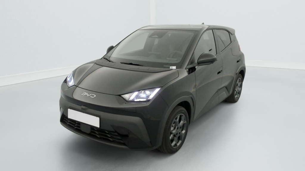 BYD Dolphin Surf 43.2 kWh 156 ch Comfort - ref: 1-378158 - Photo 3