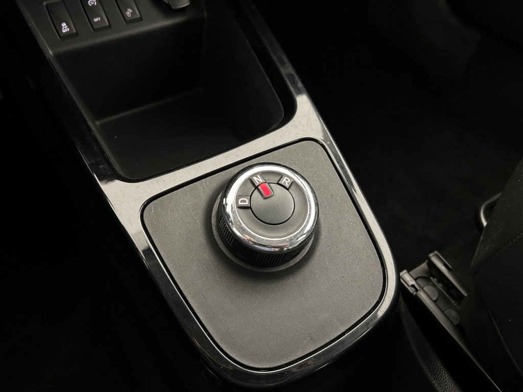 DACIA Spring Confort Plus Achat Integral - ref: 6-2971x245403 - Photo 20