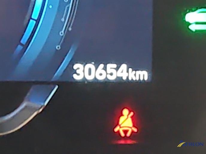 HYUNDAI IONIQ IONIQ Trend-Paket Elektro IONIQ Trend-Paket Elektro - ref: 7-52482 - Photo 11