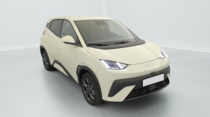 BYD Dolphin Surf en vente a marchand - ref: