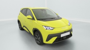 BYD Dolphin Surf en vente à marchand - ref: 1-378134