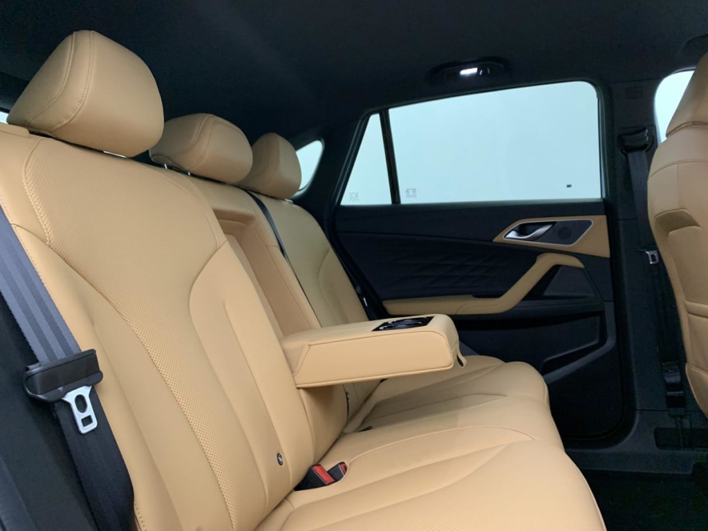 MG EHS 1.5T PHEV 272 ch Luxury - ref: 1-361320 - Photo 10