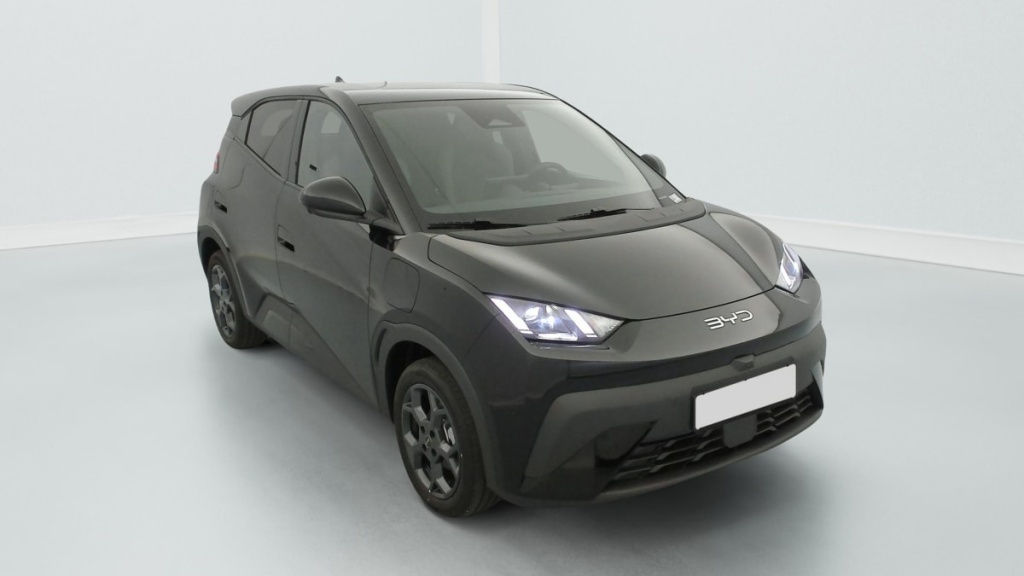 BYD Dolphin Surf 43.2 kWh 156 ch Comfort - ref: 1-378150 - Photo 1