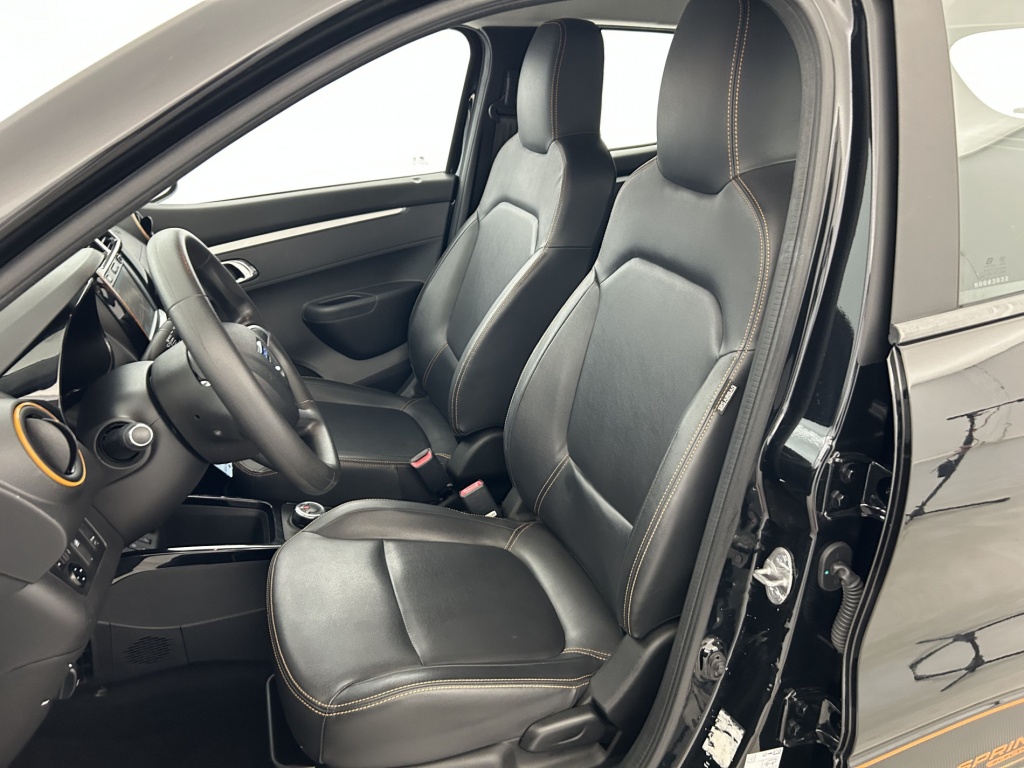 DACIA Spring Confort Plus Achat Integral - ref: 6-2971x238366 - Photo 13