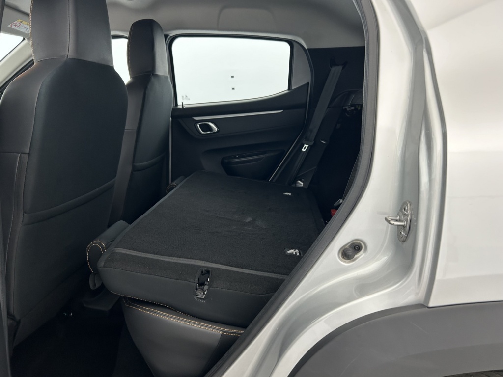 DACIA Spring Confort Plus Achat Integral - ref: 6-2971x239013 - Photo 11