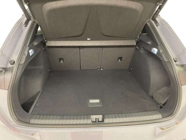 CUPRA Terramar VZ 2.0 TSI 265PS/195kW 4x4 DSG7 2025... - ref: 7-44991 - Photo 9