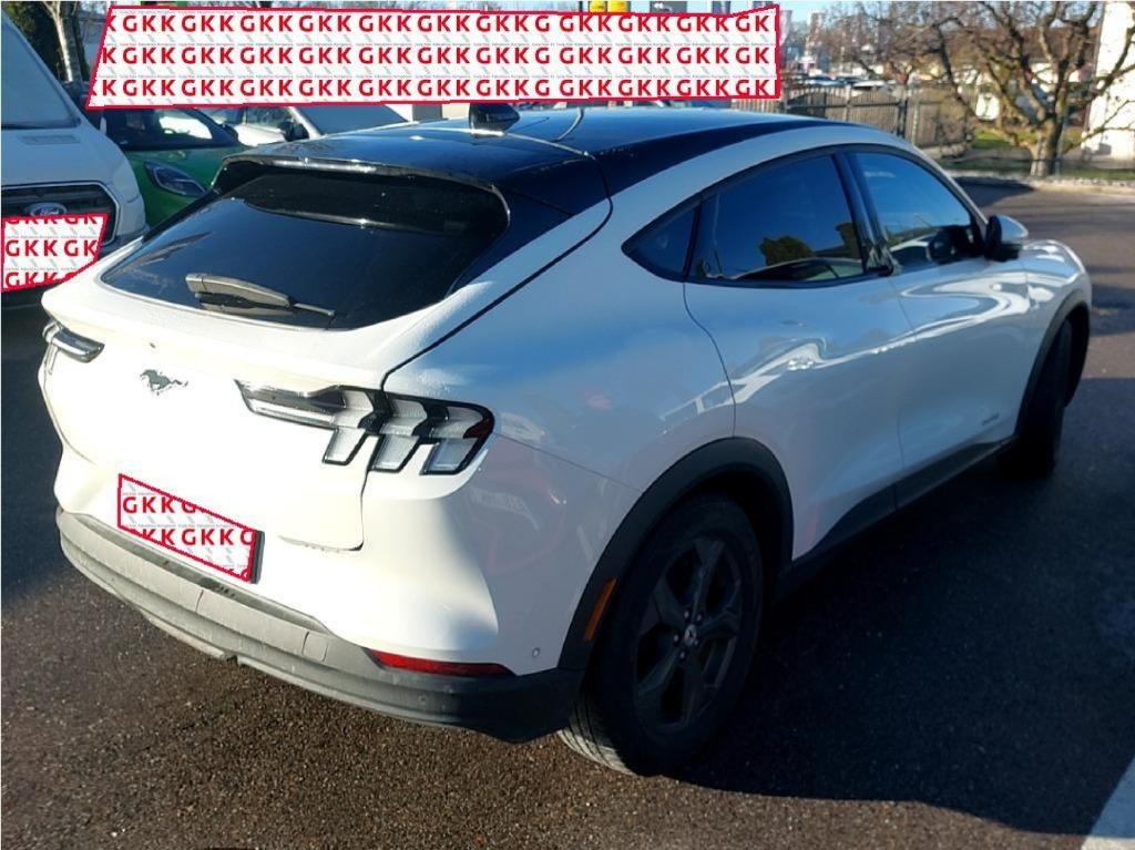 FORD Mustang Mach-E Mustang MACH-E Basis (Standard Range) Elektro 269hp - ref: 7-55271 - Photo 2