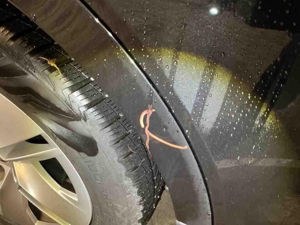 SKODA Enyaq Enyaq iV 60 Loft Elektro 180hp - ref: 7-55272 - Photo 18