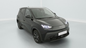 BYD Dolphin Surf en vente à marchand - ref: 1-378150