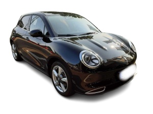 SSANGYONG Ora en vente a marchand - ref: